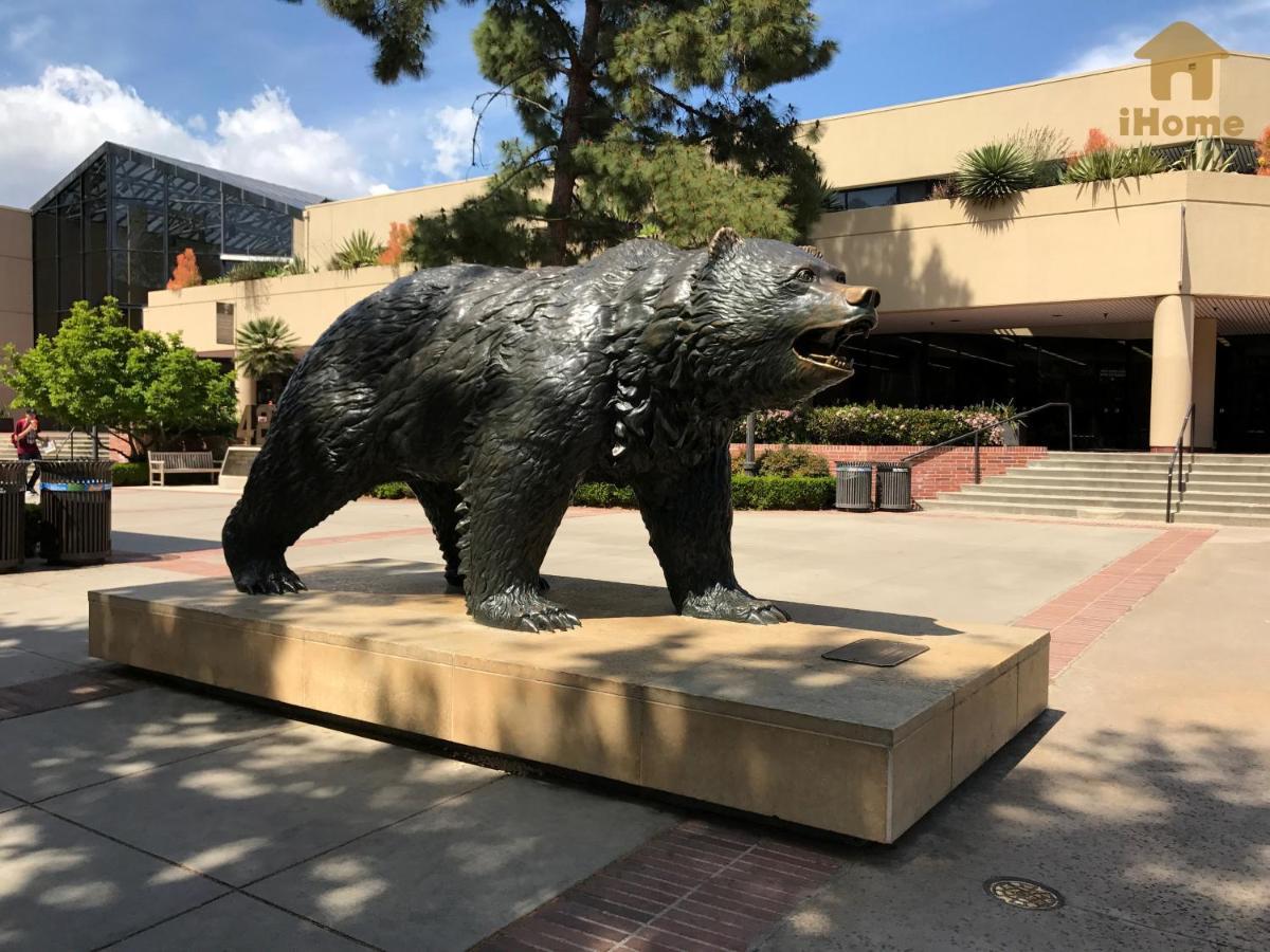 Perfect Apt Near Ucla W Parking Gym Pool Wifi In Westwood B3 Los Angeles Luaran gambar